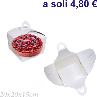 Trasparente con maniglia 20x20x15cm