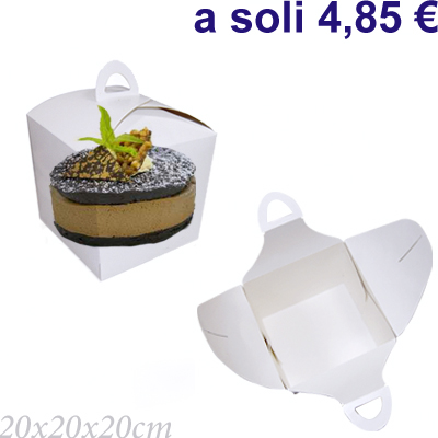 Trasparente con maniglia 20x20x20cm