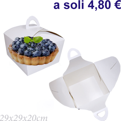 Trasparente con maniglia 29x29x20cm