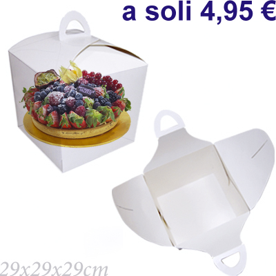 Trasparente con maniglia 29x29x29cm