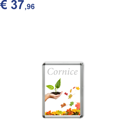 Cornici con stampa 29,7x42cm (A3)