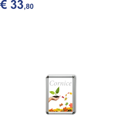 Cornici con stampa 21x29,7cm (A4)